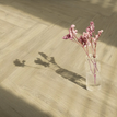 Sunny Nature HB_4.png