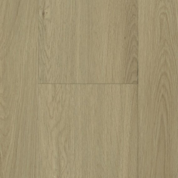 36541-ewh-3846-ardena-spc-10