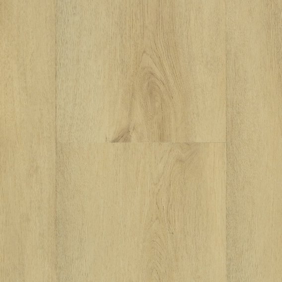 36583-ewh-7270-elara-epc-swatch-eir-cut-10